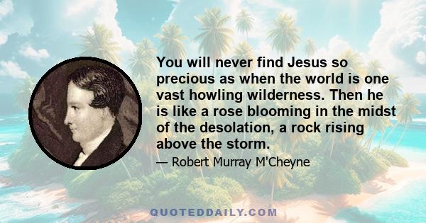 You will never find Jesus so precious as when the world is one vast howling wilderness. Then he is like a rose blooming in the midst of the desolation, a rock rising above the storm.