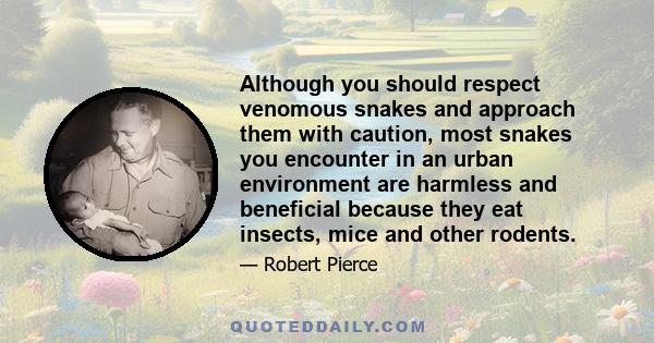 Although you should respect venomous snakes and approach them with caution, most snakes you encounter in an urban environment are harmless and beneficial because they eat insects, mice and other rodents.