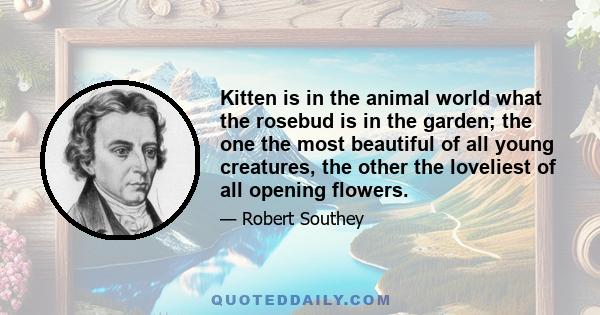 Kitten is in the animal world what the rosebud is in the garden; the one the most beautiful of all young creatures, the other the loveliest of all opening flowers.