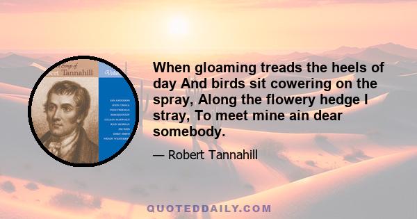 When gloaming treads the heels of day And birds sit cowering on the spray, Along the flowery hedge I stray, To meet mine ain dear somebody.