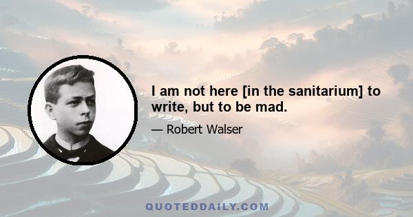 I am not here [in the sanitarium] to write, but to be mad.