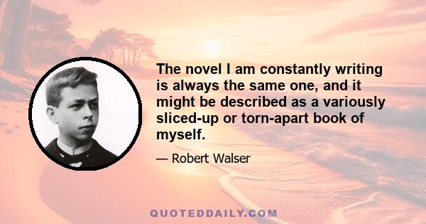 The novel I am constantly writing is always the same one, and it might be described as a variously sliced-up or torn-apart book of myself.