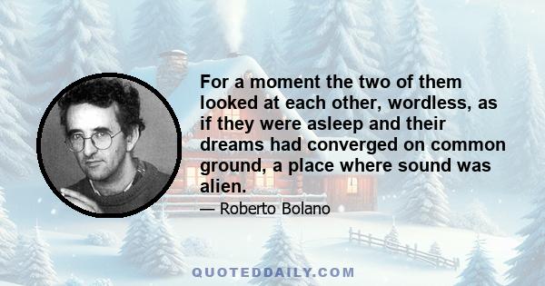 For a moment the two of them looked at each other, wordless, as if they were asleep and their dreams had converged on common ground, a place where sound was alien.