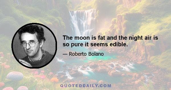 The moon is fat and the night air is so pure it seems edible.