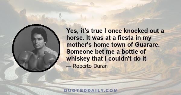 Yes, it's true I once knocked out a horse. It was at a fiesta in my mother's home town of Guarare. Someone bet me a bottle of whiskey that I couldn't do it