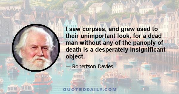 I saw corpses, and grew used to their unimportant look, for a dead man without any of the panoply of death is a desperately insignificant object.