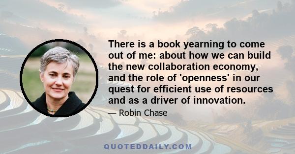 There is a book yearning to come out of me: about how we can build the new collaboration economy, and the role of 'openness' in our quest for efficient use of resources and as a driver of innovation.