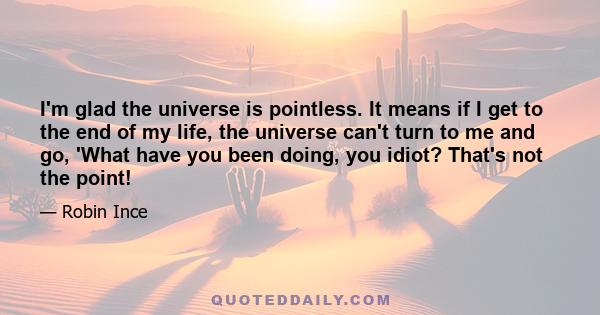 I'm glad the universe is pointless. It means if I get to the end of my life, the universe can't turn to me and go, 'What have you been doing, you idiot? That's not the point!