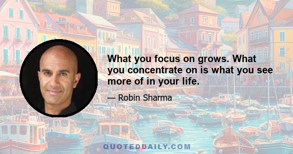 What you focus on grows. What you concentrate on is what you see more of in your life.