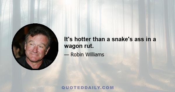 It's hotter than a snake's ass in a wagon rut.