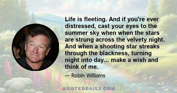 Life is fleeting. And if you're ever distressed, cast your eyes to the summer sky when when the stars are strung across the velvety night. And when a shooting star streaks through the blackness, turning night into