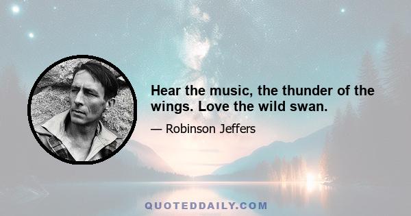 Hear the music, the thunder of the wings. Love the wild swan.