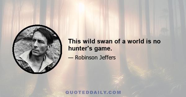 This wild swan of a world is no hunter's game.