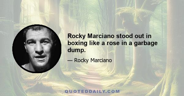 Rocky Marciano stood out in boxing like a rose in a garbage dump.