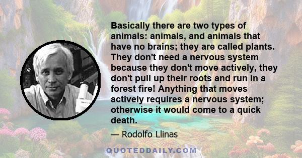 Basically there are two types of animals: animals, and animals that have no brains; they are called plants. They don't need a nervous system because they don't move actively, they don't pull up their roots and run in a