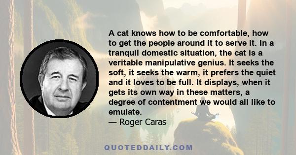 A cat knows how to be comfortable, how to get the people around it to serve it. In a tranquil domestic situation, the cat is a veritable manipulative genius. It seeks the soft, it seeks the warm, it prefers the quiet