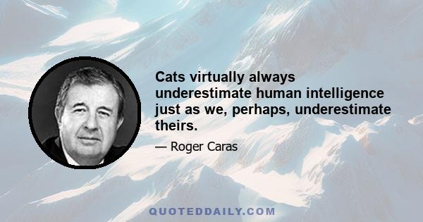 Cats virtually always underestimate human intelligence just as we, perhaps, underestimate theirs.