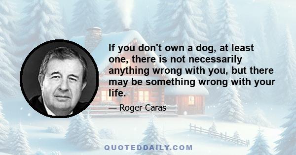 If you don't own a dog, at least one, there is not necessarily anything wrong with you, but there may be something wrong with your life.