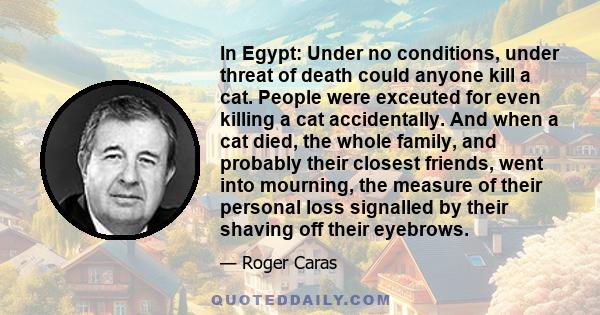 In Egypt: Under no conditions, under threat of death could anyone kill a cat. People were exceuted for even killing a cat accidentally. And when a cat died, the whole family, and probably their closest friends, went