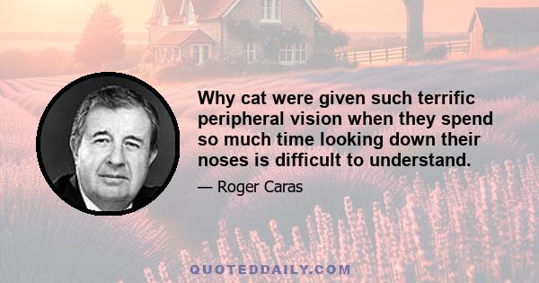 Why cat were given such terrific peripheral vision when they spend so much time looking down their noses is difficult to understand.