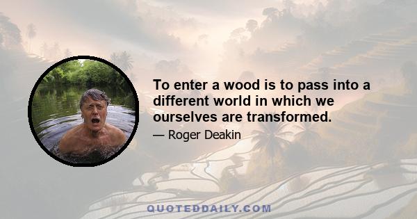 To enter a wood is to pass into a different world in which we ourselves are transformed.