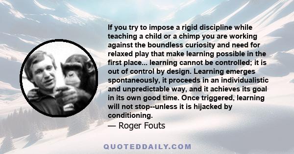 If you try to impose a rigid discipline while teaching a child or a chimp you are working against the boundless curiosity and need for relaxed play that make learning possible in the first place... learning cannot be