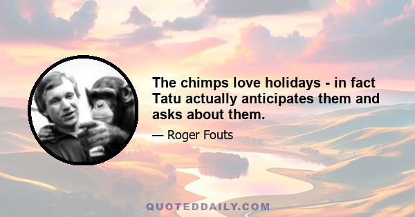 The chimps love holidays - in fact Tatu actually anticipates them and asks about them.