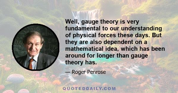 Well, gauge theory is very fundamental to our understanding of physical forces these days. But they are also dependent on a mathematical idea, which has been around for longer than gauge theory has.