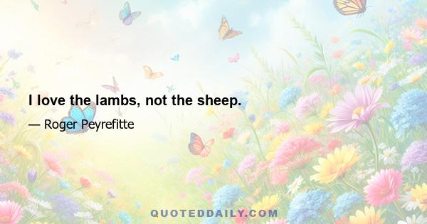 I love the lambs, not the sheep.