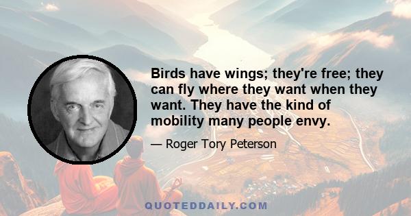 Birds have wings; they're free; they can fly where they want when they want. They have the kind of mobility many people envy.