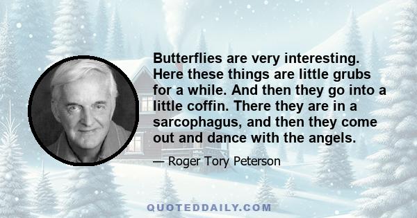 Butterflies are very interesting. Here these things are little grubs for a while. And then they go into a little coffin. There they are in a sarcophagus, and then they come out and dance with the angels.