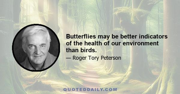 Butterflies may be better indicators of the health of our environment than birds.