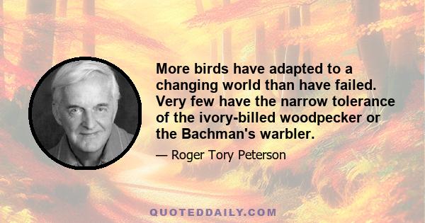 More birds have adapted to a changing world than have failed. Very few have the narrow tolerance of the ivory-billed woodpecker or the Bachman's warbler.