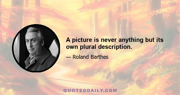 A picture is never anything but its own plural description.