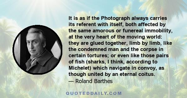 It is as if the Photograph always carries its referent with itself, both affected by the same amorous or funereal immobility, at the very heart of the moving world: they are glued together, limb by limb, like the