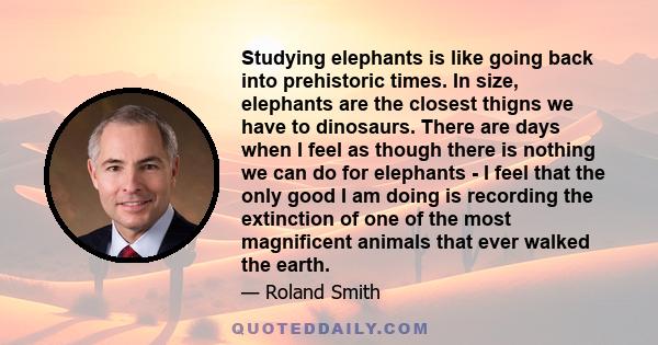 Studying elephants is like going back into prehistoric times. In size, elephants are the closest thigns we have to dinosaurs. There are days when I feel as though there is nothing we can do for elephants - I feel that