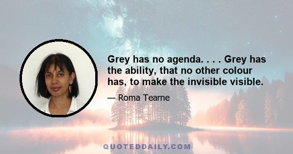 Grey has no agenda. . . . Grey has the ability, that no other colour has, to make the invisible visible.