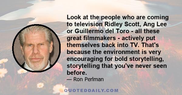 Look at the people who are coming to television Ridley Scott, Ang Lee or Guillermo del Toro - all these great filmmakers - actively put themselves back into TV. That's because the environment is very encouraging for