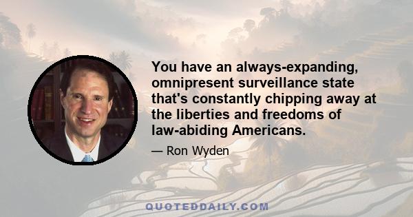 You have an always-expanding, omnipresent surveillance state that's constantly chipping away at the liberties and freedoms of law-abiding Americans.