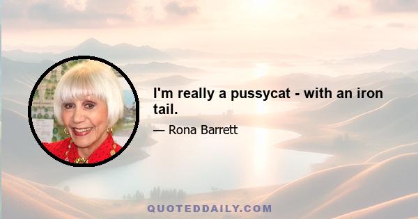 I'm really a pussycat - with an iron tail.