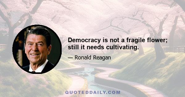 Democracy is not a fragile flower; still it needs cultivating.