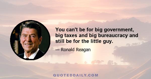 You can't be for big government, big taxes and big bureaucracy and still be for the little guy.