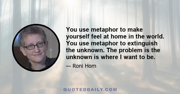 You use metaphor to make yourself feel at home in the world. You use metaphor to extinguish the unknown. The problem is the unknown is where I want to be.