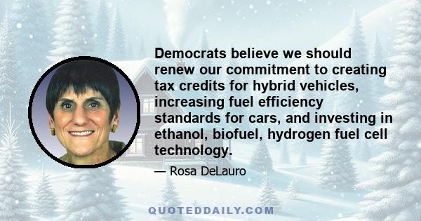 Democrats believe we should renew our commitment to creating tax credits for hybrid vehicles, increasing fuel efficiency standards for cars, and investing in ethanol, biofuel, hydrogen fuel cell technology.