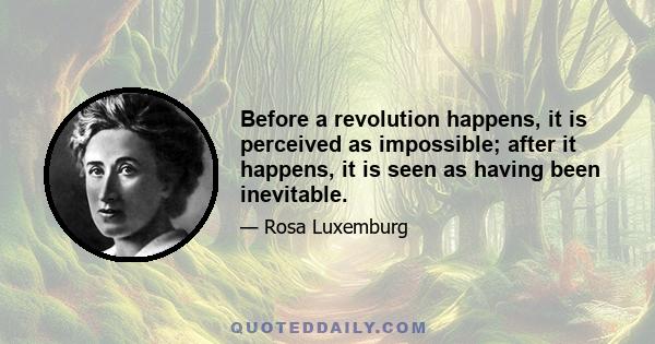 Before a revolution happens, it is perceived as impossible; after it happens, it is seen as having been inevitable.