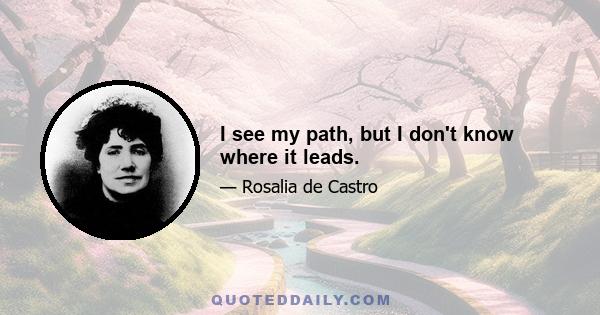 I see my path, but I don't know where it leads.