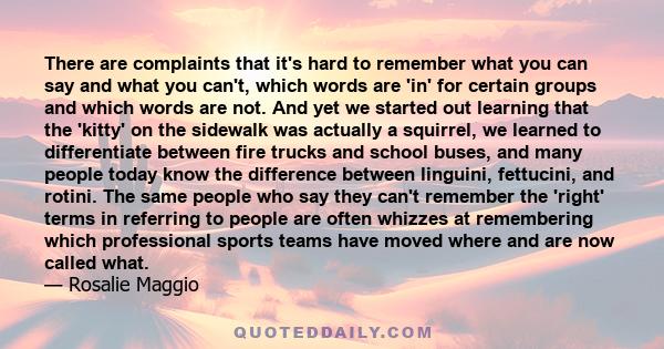 There are complaints that it's hard to remember what you can say and what you can't, which words are 'in' for certain groups and which words are not. And yet we started out learning that the 'kitty' on the sidewalk was