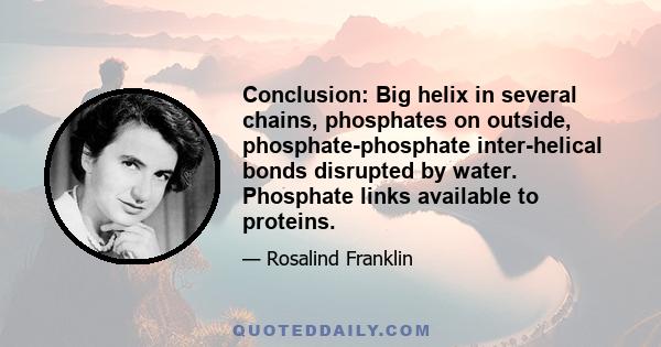 Conclusion: Big helix in several chains, phosphates on outside, phosphate-phosphate inter-helical bonds disrupted by water. Phosphate links available to proteins.