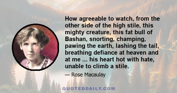 How agreeable to watch, from the other side of the high stile, this mighty creature, this fat bull of Bashan, snorting, champing, pawing the earth, lashing the tail, breathing defiance at heaven and at me ... his heart