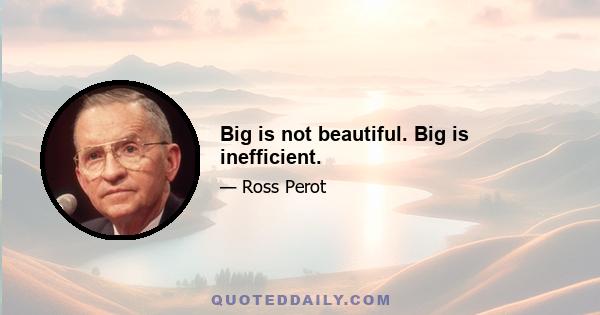 Big is not beautiful. Big is inefficient.